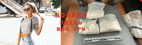 тгк Алзамай