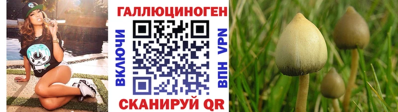 Псилоцибиновые грибы Magic Shrooms  наркошоп  Урюпинск 