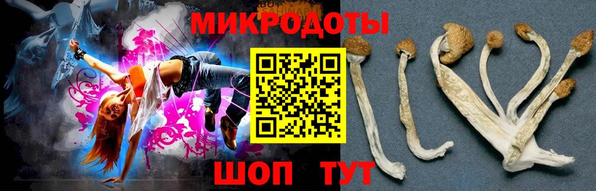 Урюпинск  Галлюциногенные грибы прущие грибы  Вход с VPN 