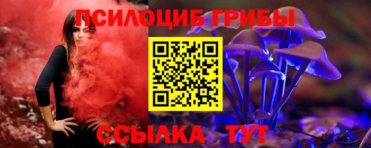 Псилоцибиновые грибы мухоморы Урюпинск